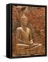 Buddha image, Phra Prang Sam Yoo ruins, Asia, Thailand, Lop Buri,-Gavriel Jecan-Framed Stretched Canvas