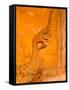 Buddha Images at Wat Si Saket, Vientiane, Laos-Gavriel Jecan-Framed Stretched Canvas