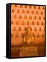 Buddha Images at Wat Si Saket, Vientiane, Laos-Gavriel Jecan-Framed Stretched Canvas