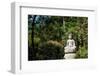 Buddha in the Garden-Rolf_52-Framed Photographic Print