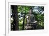Buddha in the Sankeien Garden, Yokohama, Tokyo, Japan, Asia-David Pickford-Framed Photographic Print