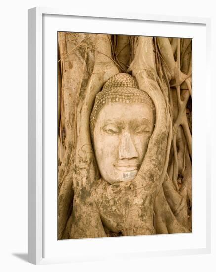 Buddha in Tree Ruts at Ayuthaya, Siam, Thailand-Gavriel Jecan-Framed Photographic Print