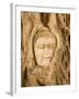 Buddha in Tree Ruts at Ayuthaya, Siam, Thailand-Gavriel Jecan-Framed Photographic Print