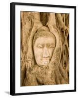 Buddha in Tree Ruts at Ayuthaya, Siam, Thailand-Gavriel Jecan-Framed Photographic Print