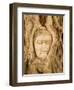 Buddha in Tree Ruts at Ayuthaya, Siam, Thailand-Gavriel Jecan-Framed Photographic Print