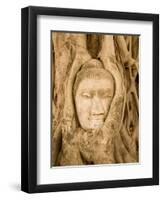 Buddha in Tree Ruts at Ayuthaya, Siam, Thailand-Gavriel Jecan-Framed Photographic Print