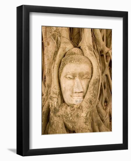 Buddha in Tree Ruts at Ayuthaya, Siam, Thailand-Gavriel Jecan-Framed Photographic Print