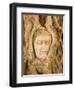 Buddha in Tree Ruts at Ayuthaya, Siam, Thailand-Gavriel Jecan-Framed Photographic Print