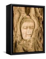 Buddha in Tree Ruts at Ayuthaya, Siam, Thailand-Gavriel Jecan-Framed Stretched Canvas