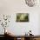 Buddha Inside a Temple on Sagaing Hill, Sagaing, Myanmar (Burma), Southeast Asia-Alex Robinson-Photographic Print displayed on a wall