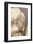 Buddha Made of Sandstone with Folded Hands-Alexander Georgiadis-Framed Photographic Print