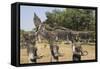 Buddha Park, Near Vientiane, Laos-Robert Harding-Framed Stretched Canvas