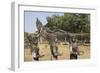 Buddha Park, Near Vientiane, Laos-Robert Harding-Framed Photographic Print