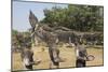 Buddha Park, Near Vientiane, Laos-Robert Harding-Mounted Photographic Print