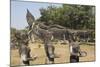 Buddha Park, Near Vientiane, Laos-Robert Harding-Mounted Photographic Print