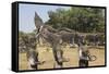 Buddha Park, Near Vientiane, Laos-Robert Harding-Framed Stretched Canvas