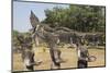 Buddha Park, Near Vientiane, Laos-Robert Harding-Mounted Photographic Print