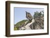 Buddha Park, Near Vientiane, Laos-Robert Harding-Framed Photographic Print