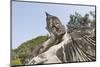 Buddha Park, Near Vientiane, Laos-Robert Harding-Mounted Photographic Print