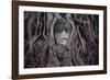 Buddha Sculpture Engulfed by Tree Roots-null-Framed Photographic Print