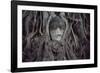 Buddha Sculpture Engulfed by Tree Roots-null-Framed Photographic Print