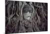 Buddha Sculpture Engulfed by Tree Roots-null-Mounted Photographic Print
