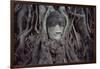 Buddha Sculpture Engulfed by Tree Roots-null-Framed Photographic Print
