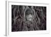 Buddha Sculpture Engulfed by Tree Roots-null-Framed Photographic Print