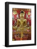 Buddha Shrine, Wat Phra-Stuart Black-Framed Photographic Print