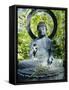 Buddha Statue (1790), Japanese Tea Gardens, Golden Gate Park, San Francisco, California, USA-Fraser Hall-Framed Stretched Canvas