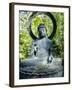 Buddha Statue (1790), Japanese Tea Gardens, Golden Gate Park, San Francisco, California, USA-Fraser Hall-Framed Photographic Print