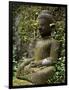 Buddha statue at Koe Thaung temple built by King Min Taik Kha, Mrauk U, Myanmar-null-Framed Photographic Print