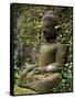 Buddha statue at Koe Thaung temple built by King Min Taik Kha, Mrauk U, Myanmar-null-Framed Stretched Canvas