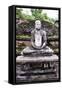 Buddha Statue at Vatadage in Polonnaruwa Quadrangle, UNESCO World Heritage Site, Sri Lanka, Asia-Matthew Williams-Ellis-Framed Stretched Canvas