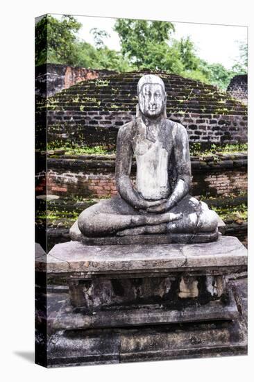 Buddha Statue at Vatadage in Polonnaruwa Quadrangle, UNESCO World Heritage Site, Sri Lanka, Asia-Matthew Williams-Ellis-Stretched Canvas