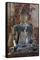 Buddha statue at Wat Mahathat, Ayutthaya Historical Park, Thailand-Art Wolfe-Framed Stretched Canvas