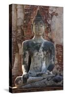 Buddha statue at Wat Mahathat, Ayutthaya Historical Park, Thailand-Art Wolfe-Stretched Canvas