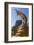 Buddha Statue Beneath Mount Popa Temple-Stuart Black-Framed Photographic Print