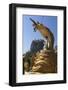 Buddha Statue Beneath Mount Popa Temple-Stuart Black-Framed Photographic Print