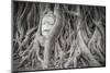 Buddha Statue Head Covered by Tree Roots at Wat Phra Mahathat Temple, Ayutthaya Province, Thailand-Oscar Dominguez-Mounted Photographic Print