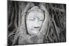 Buddha Statue Head Surrounded By Tree Roots. Wat Phra Mahathat Temple. Ayutthaya, Thailand-Oscar Dominguez-Mounted Photographic Print