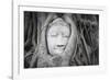 Buddha Statue Head Surrounded By Tree Roots. Wat Phra Mahathat Temple. Ayutthaya, Thailand-Oscar Dominguez-Framed Photographic Print