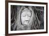 Buddha Statue Head Surrounded By Tree Roots. Wat Phra Mahathat Temple. Ayutthaya, Thailand-Oscar Dominguez-Framed Photographic Print