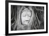 Buddha Statue Head Surrounded By Tree Roots. Wat Phra Mahathat Temple. Ayutthaya, Thailand-Oscar Dominguez-Framed Photographic Print