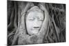 Buddha Statue Head Surrounded By Tree Roots. Wat Phra Mahathat Temple. Ayutthaya, Thailand-Oscar Dominguez-Mounted Photographic Print