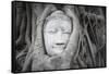Buddha Statue Head Surrounded By Tree Roots. Wat Phra Mahathat Temple. Ayutthaya, Thailand-Oscar Dominguez-Framed Stretched Canvas