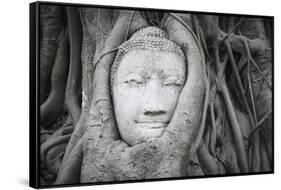 Buddha Statue Head Surrounded By Tree Roots. Wat Phra Mahathat Temple. Ayutthaya, Thailand-Oscar Dominguez-Framed Stretched Canvas