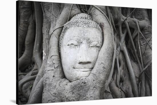 Buddha Statue Head Surrounded By Tree Roots. Wat Phra Mahathat Temple. Ayutthaya, Thailand-Oscar Dominguez-Stretched Canvas