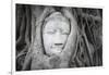 Buddha Statue Head Surrounded By Tree Roots. Wat Phra Mahathat Temple. Ayutthaya, Thailand-Oscar Dominguez-Framed Photographic Print