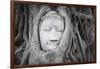 Buddha Statue Head Surrounded By Tree Roots. Wat Phra Mahathat Temple. Ayutthaya, Thailand-Oscar Dominguez-Framed Photographic Print